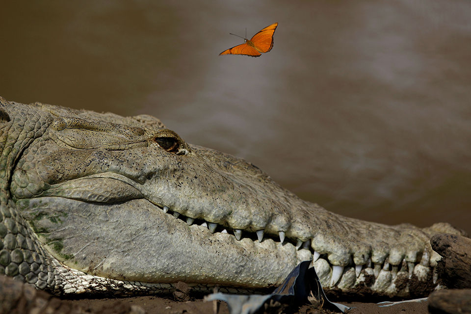 φωτογραφήματα-2328820