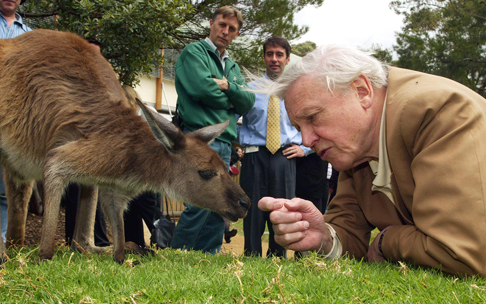 ντέιβιντ-ατένμπορο-η-κλιματική-αλλαγ-2327131