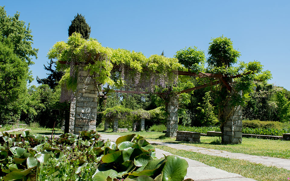 ενα-πράσινο-καταφύγιο-στο-όρος-αιγάλε-2330533
