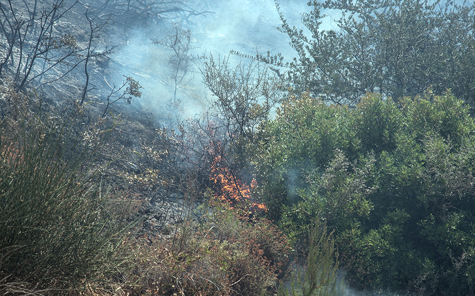 συνεχίζεται-η-μάχη-με-τις-φλόγες-στην-ε-2326570