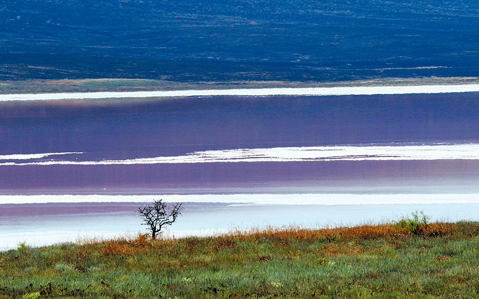 συνάντηση-με-πούτιν-θέλει-ο-ζελένσκι-2326969
