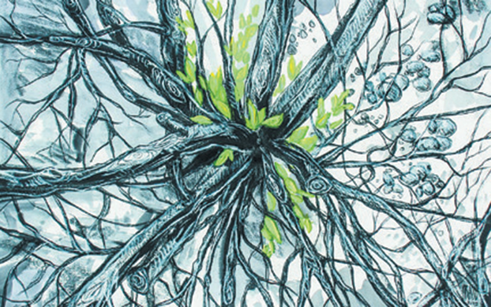 η-πολιτιστική-ατζέντα-του-σαββάτου-2329059