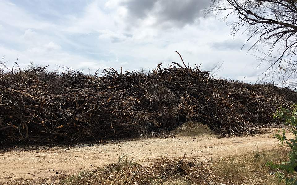 ανοιχτές-πληγές-και-εκκρεμότητες-στη-2329397