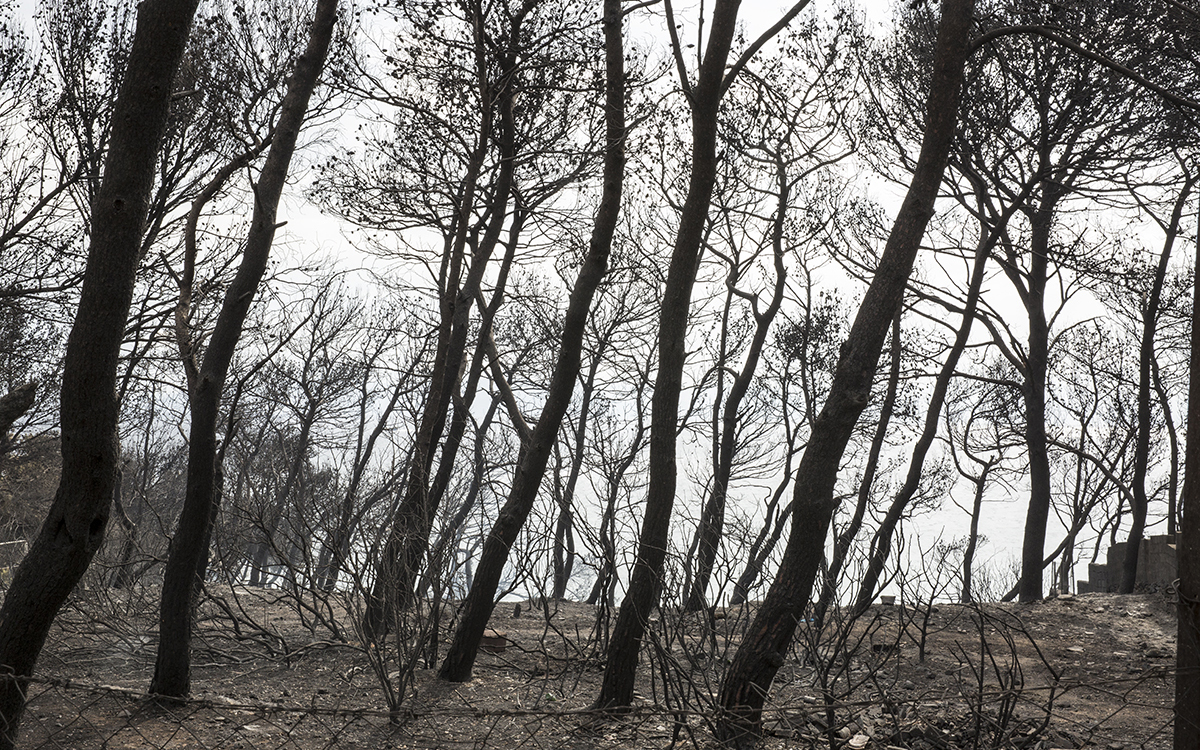 τα-σημάδια-δεν-έχουν-σβήσει-ακόμα-2329401