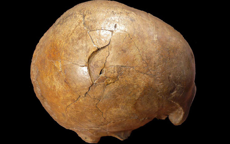 ελληνίδες-ερευνήτριες-εξιχνίασαν-2326387