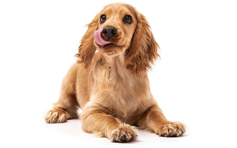 το-φιλί-του-ιούδα-2328984