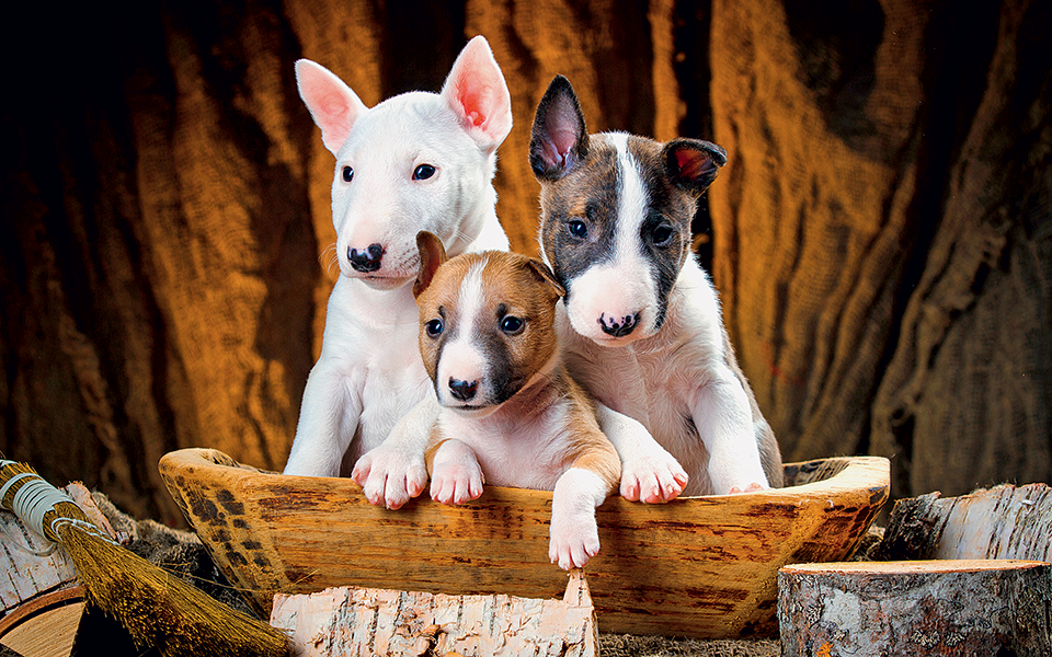 ιατρείο-δεύτερης-ευκαιρίας-2327101