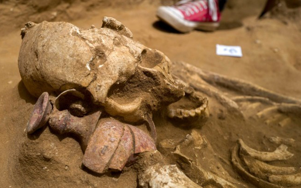 διεθνής-έρευνα-ο-γολιάθ-και-η-δαλιδά-κα-2326109