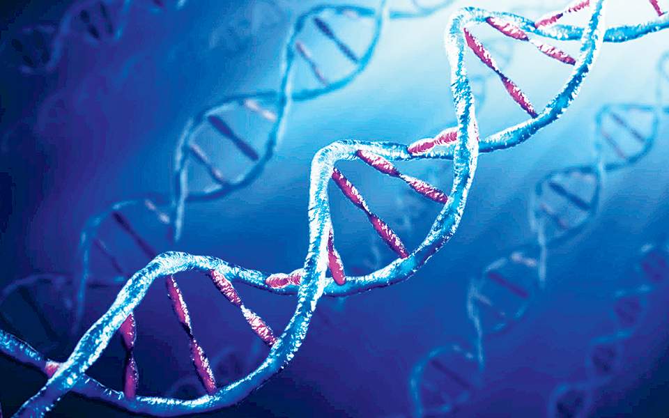 γονιδίωμα-πελώριας-σαύρας-αποκαλύπτ-2332804