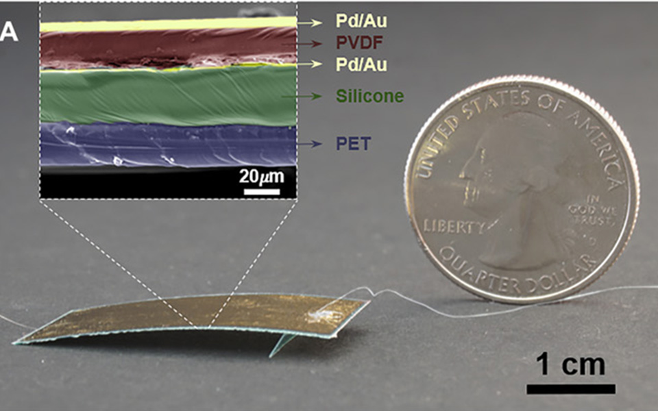 ρομπότ-κατσαρίδα-που-δεν-μπορεί-να-το-2330816