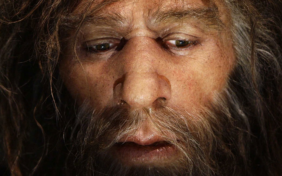 ο-homo-sapiens-εξολόθρευσε-τις-αρκούδες-των-σπηλ-2333204