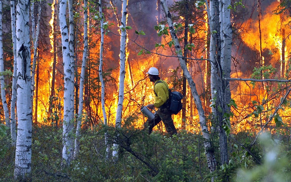 τι-σημαίνουν-οι-πυρκαγιές-στην-αλάσκα-2331234
