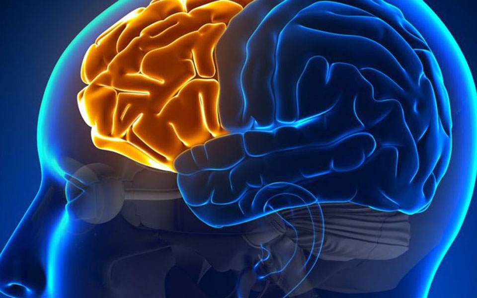 πέντε-κοινοί-μύθοι-για-την-ανθρώπινη-σ-2333243