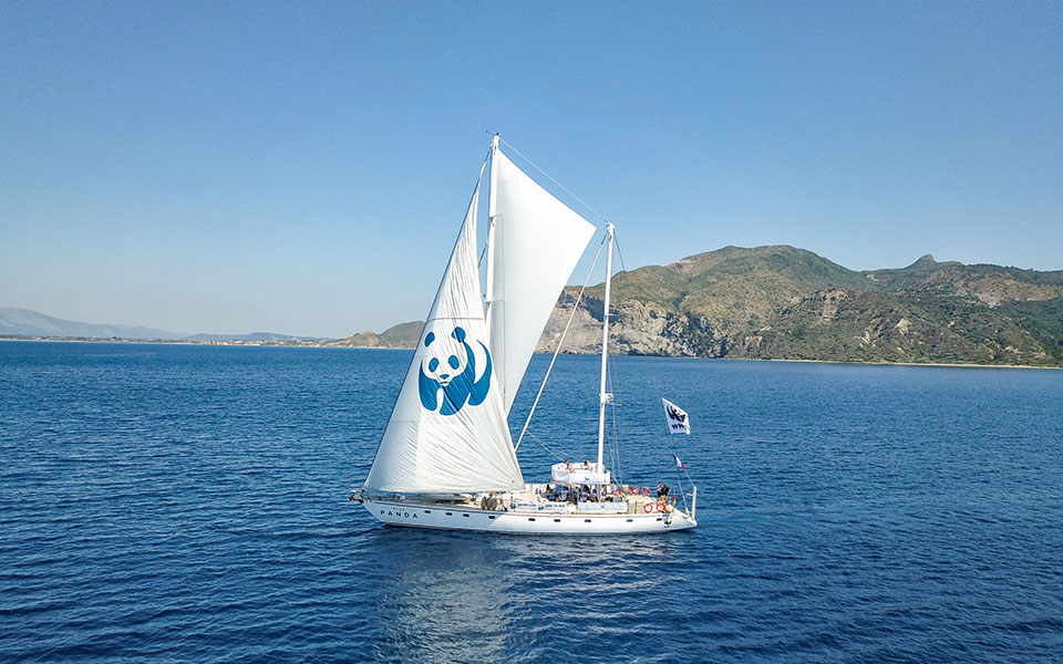 στο-ιόνιο-με-ένα-panda-2335127