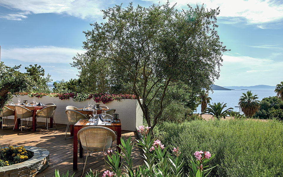 η-ευτυχής-κλωνοποίηση-της-σπονδής-2332256