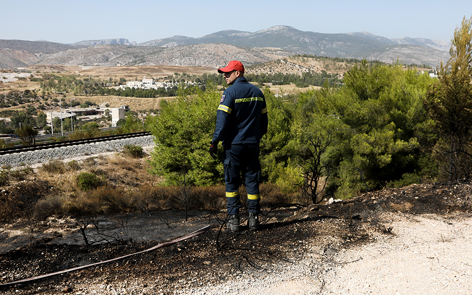 μεγάλη-πυρκαγιά-σε-δασική-έκταση-στην-2334242