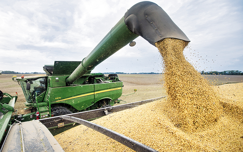 η-βιωσιμότητα-του-εδάφους-της-γης-απει-2332195