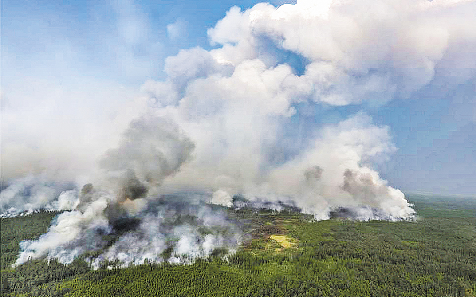 αμεση-απειλή-για-τη-βιοποικιλότητα-τη-2331623