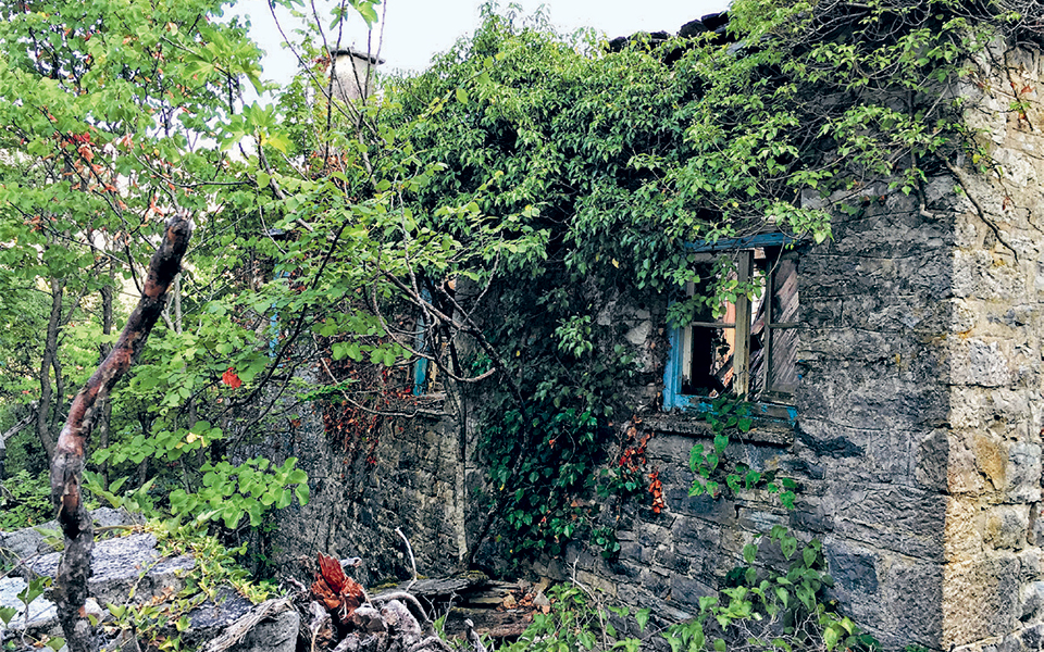 οτι-άφησε-ο-άνθρωπος-το-σκέπασε-η-άγρια-2333622