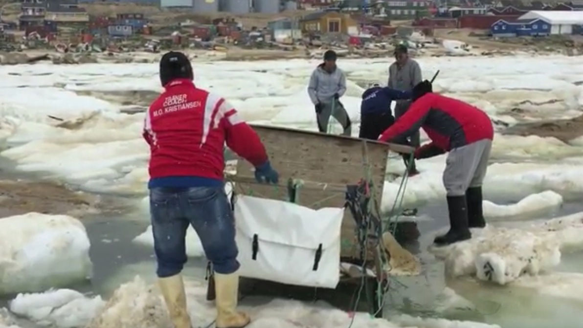 κυνήγι-στον-αρκτικό-κύκλο-2330936