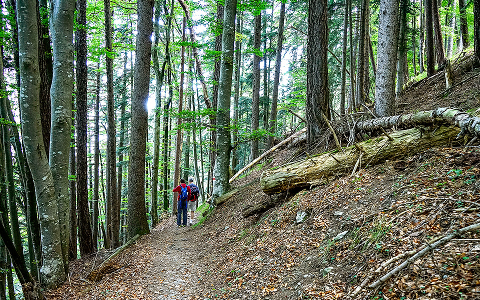 happy-birthday-λίχτενσταϊν-2332028