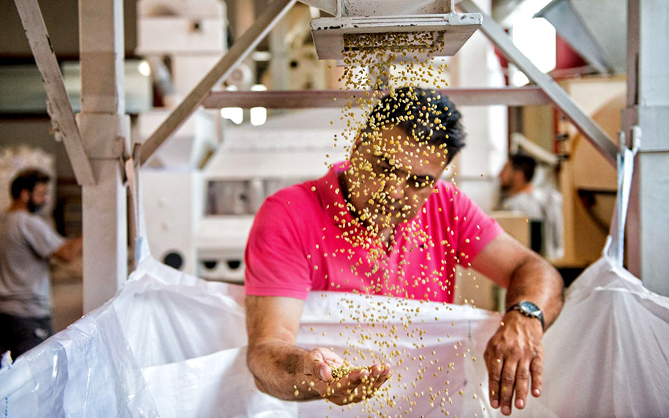 στον-καναδά-τρώνε-φακές-κοζάνης-2335082