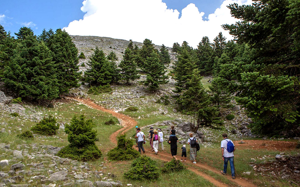 open-farm-η-αυθεντική-εμπειρία-2335089