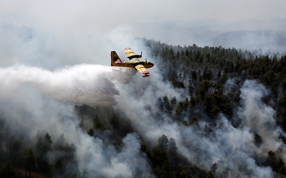 χωρίς-ενεργό-μέτωπο-η-φωτιά-στην-εύβοι-2333122