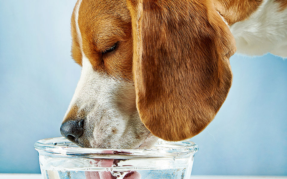 λάβρα-τέχνας-κατεργάζεται-2331479