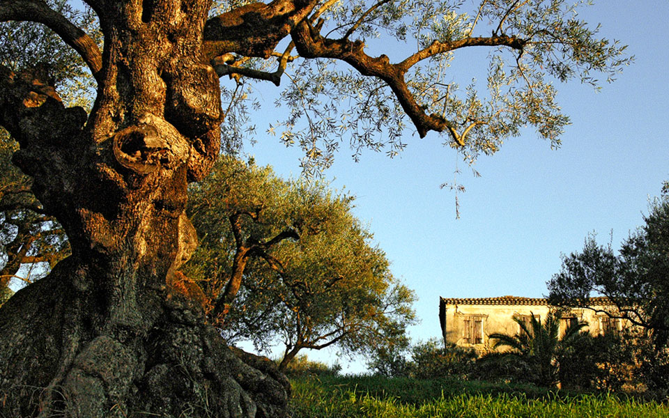 η-θαυμασία-νήσος-ζάκυνθος-συστήνετ-2334605