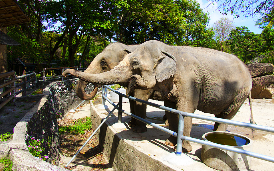 διεθνής-απαγόρευση-για-την-πώληση-άγρ-2334703