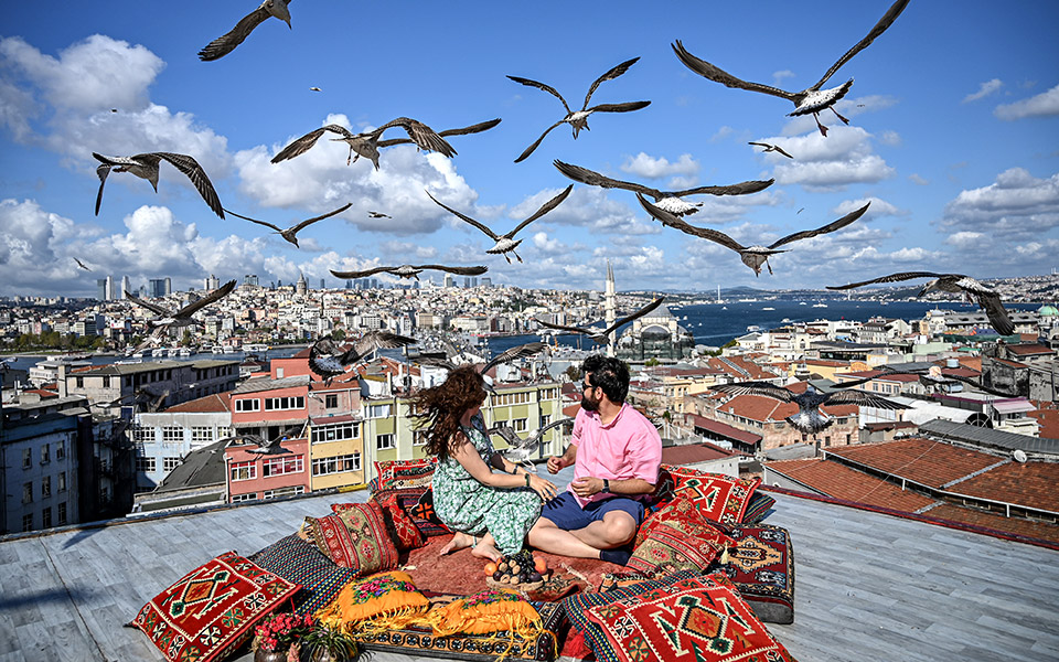 το-ταξίδι-των-γλάρων-2337673