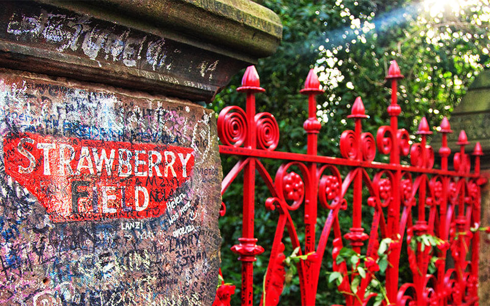 strawberry-field-ανοικτό-για-το-κοινό-το-παιδικό-κατ-2337771