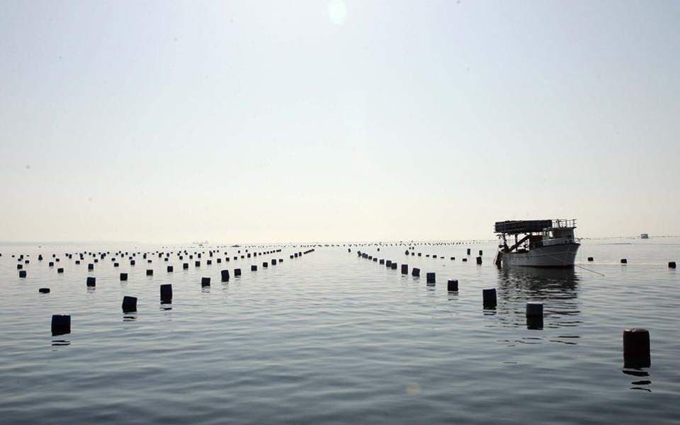 το-τσιμέντο-απειλεί-το-εθνικό-πάρκο-δέ-2338367