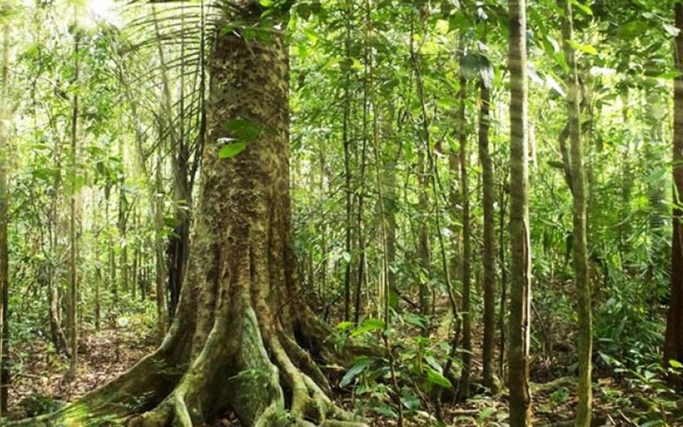 οι-τράπεζες-προσλαμβάνουν-περιβαλλ-2339111