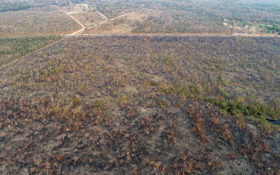 η-αποψίλωση-της-αμαζονίας-στην-βραζιλ-2336478