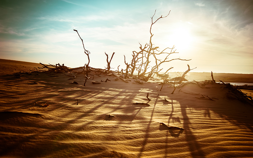 οηε-τα-πέντε-τελευταία-χρόνια-είναι-τα-2338716