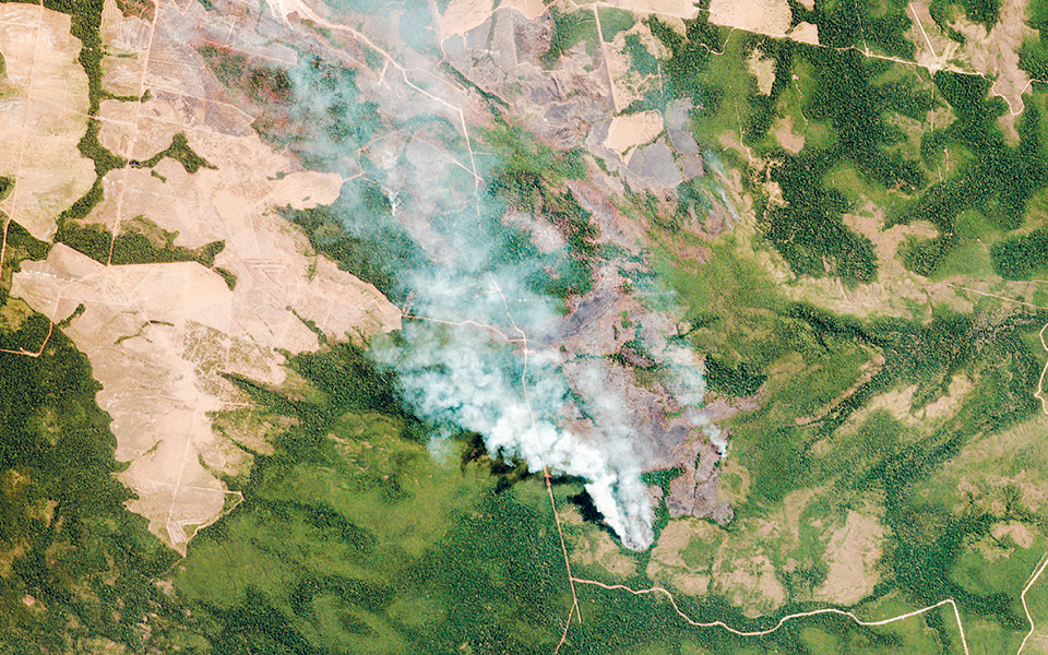 φυσικές-λύσεις-για-την-προστασία-το-2339503