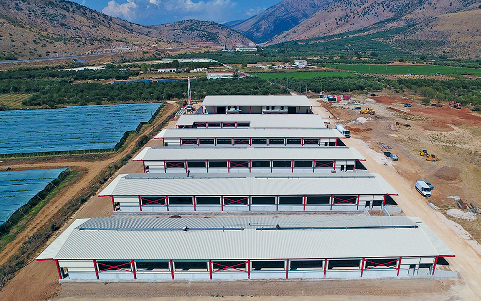 ενδιαφέρον-για-τη-δελτα-και-την-creta-farms-από-optima-2338528