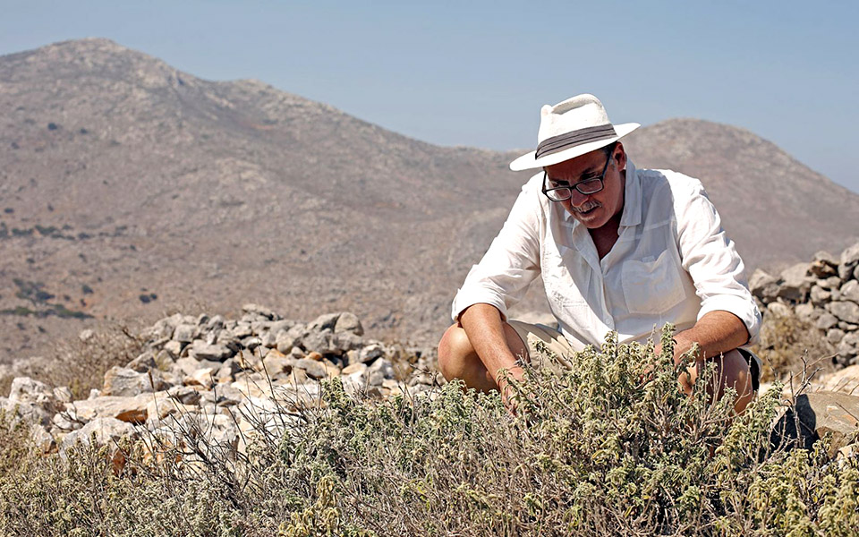 βότανα-από-αμοργιανούς-βραχόκηπους-2337275