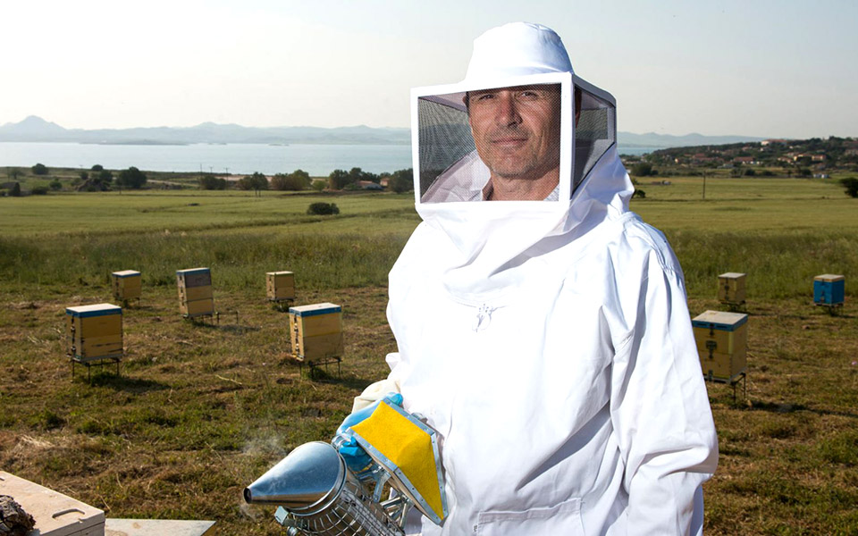 βραβευμένο-μέλι-από-τη-λήμνο-2339955