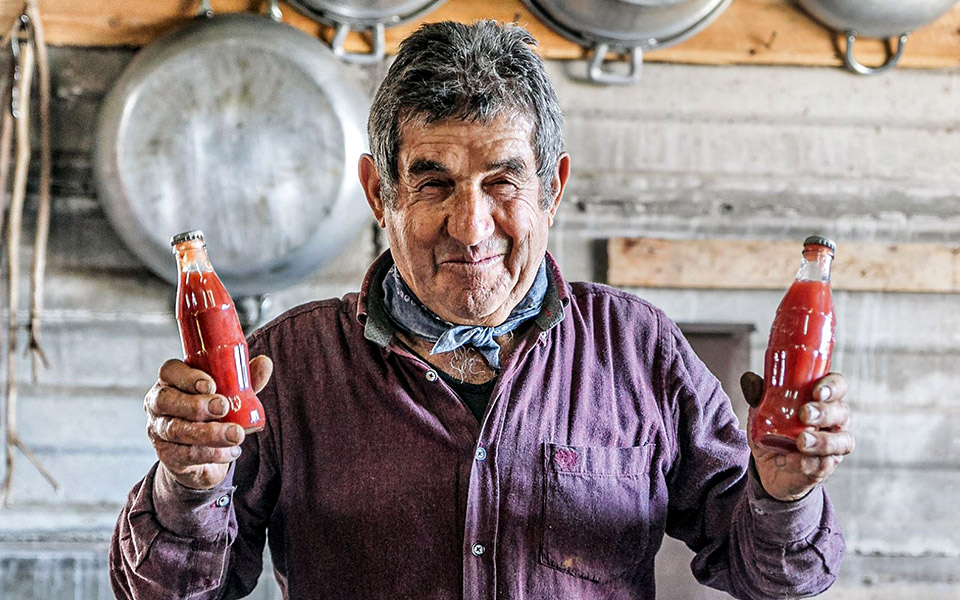 οι-πουμαρόλες-του-βεζούβιου-είναι-ζηλ-2339113