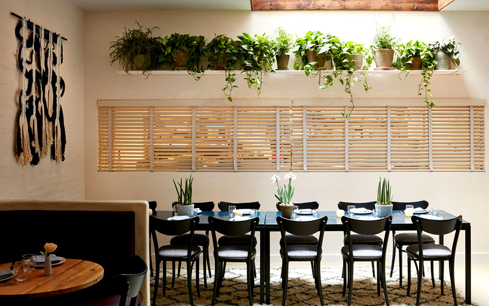 στο-μοναδικό-αστεράτο-χορτοφαγικό-τη-2337638