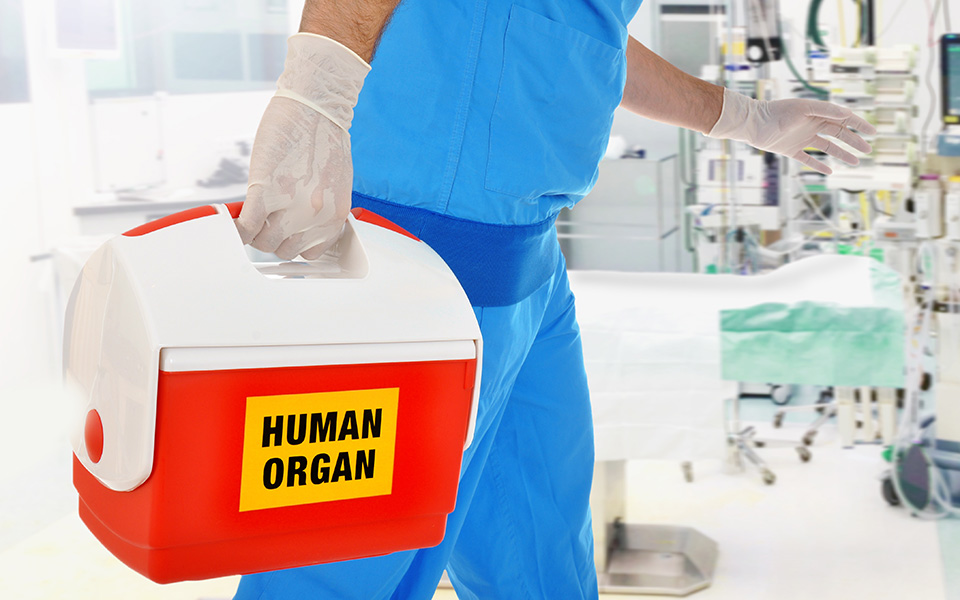 νέα-μέθοδος-κρυοσυντήρησης-σημαντικ-2336573