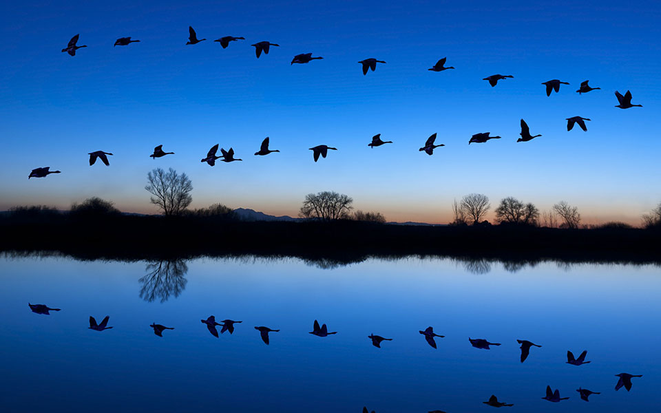 η-θέση-σου-στην-οικογένεια-των-πραγμάτ-2338424