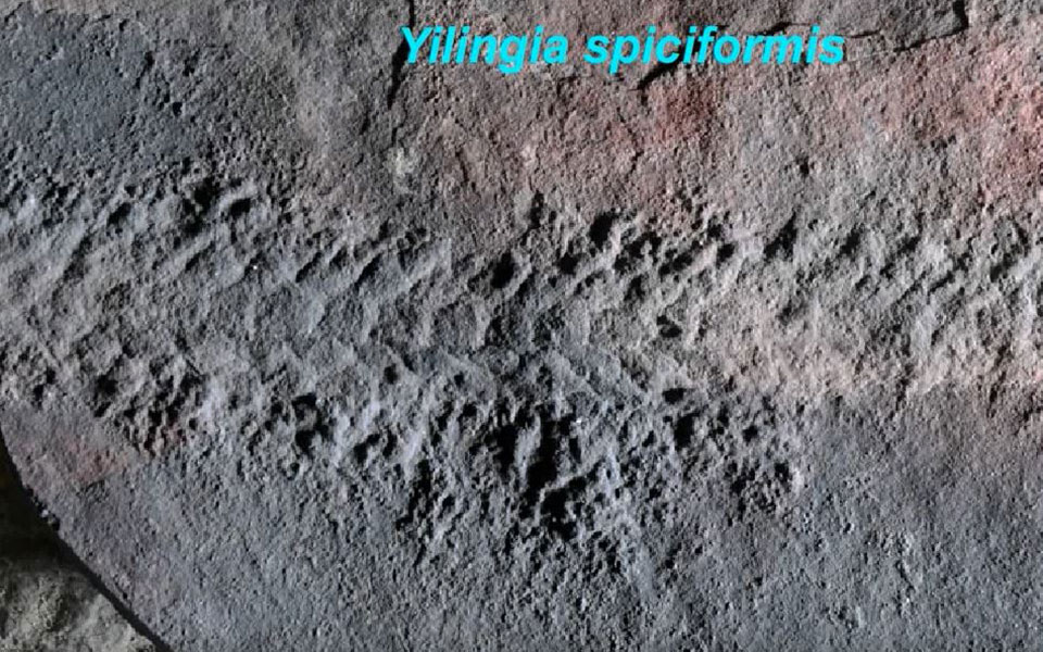 ιχνη-του-αρχαιότερου-ταξιδιού-στη-γ-2335893