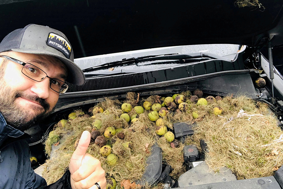 φωτογραφήματα-2342152