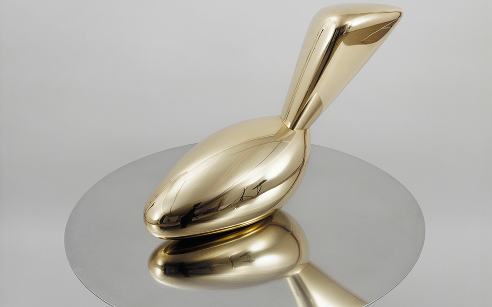 μπρανκούζι-στις-βρυξέλλες-2342415