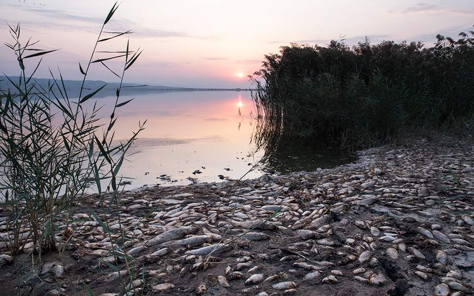 αρνητικές-για-παθογόνους-οργανισμού-2345063