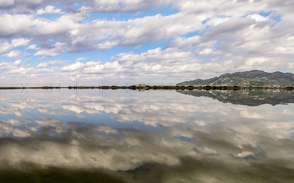 εξόρυξη-από-τα-βάθη-της-μνήμης-2343128